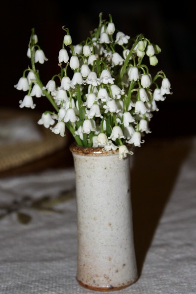 Lily of the Valley White Flowers in Vase - Free High Resolution Photo