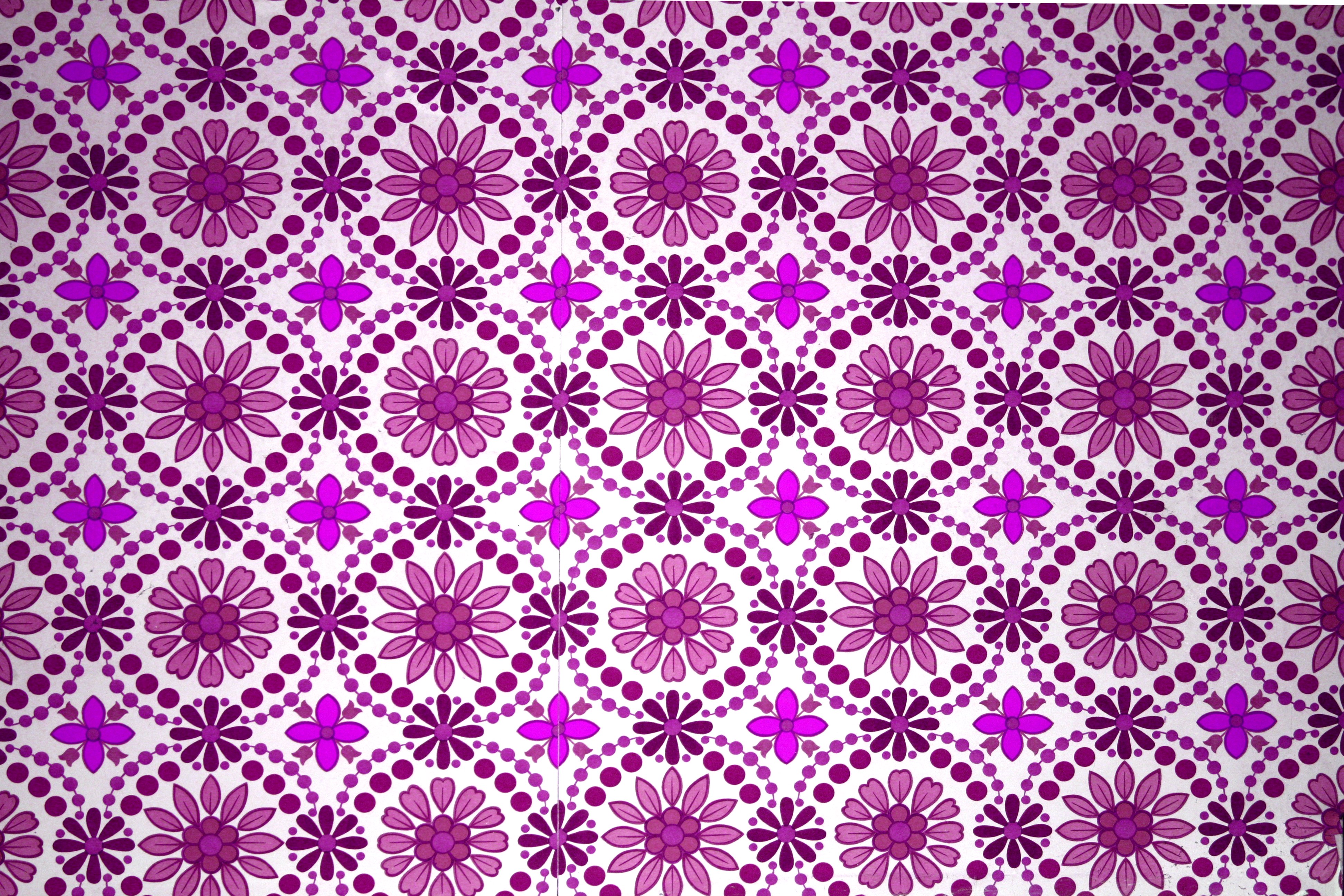 Florals in Magenta  purple magenta flowers firefox persona abstract  HD wallpaper  Peakpx