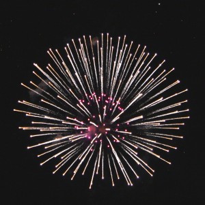 Fireworks White and Pink Starburst - Free High Resolution Photo