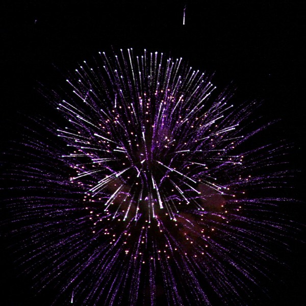 Purple Fireworks Starburst - Free High Resolution Photo