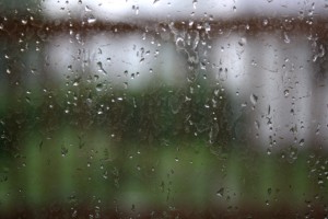Raindrops on Window Pane - Free High Resolution Photo