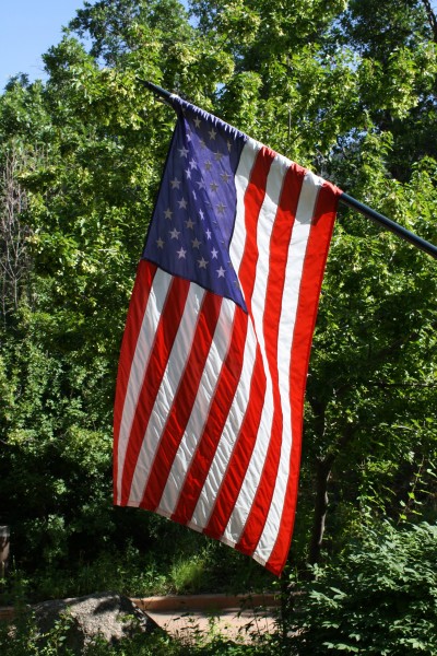 American Flag with Foliage in the Background - Free High Resolution Photo