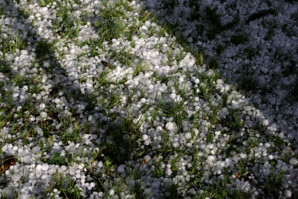 Grass Coated with Hail - Free High Resolution Photo