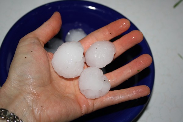 Hand Holding Big Hailstones - Free High Resolution Photo
