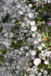 Large Hailstones on Ground - Free High Resolution Photo