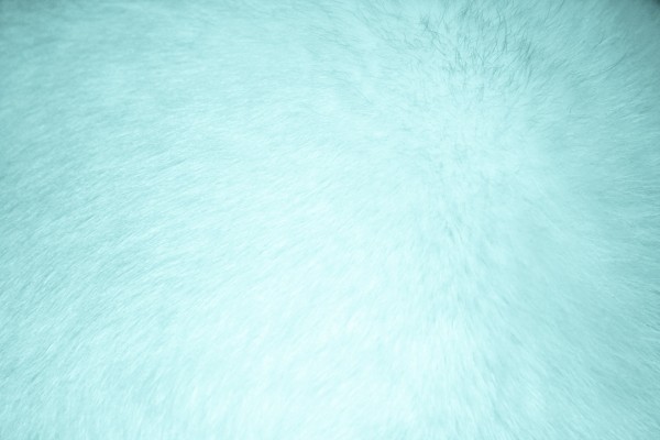 Aqua Colored Fur Texture - Free High Resolution Photo