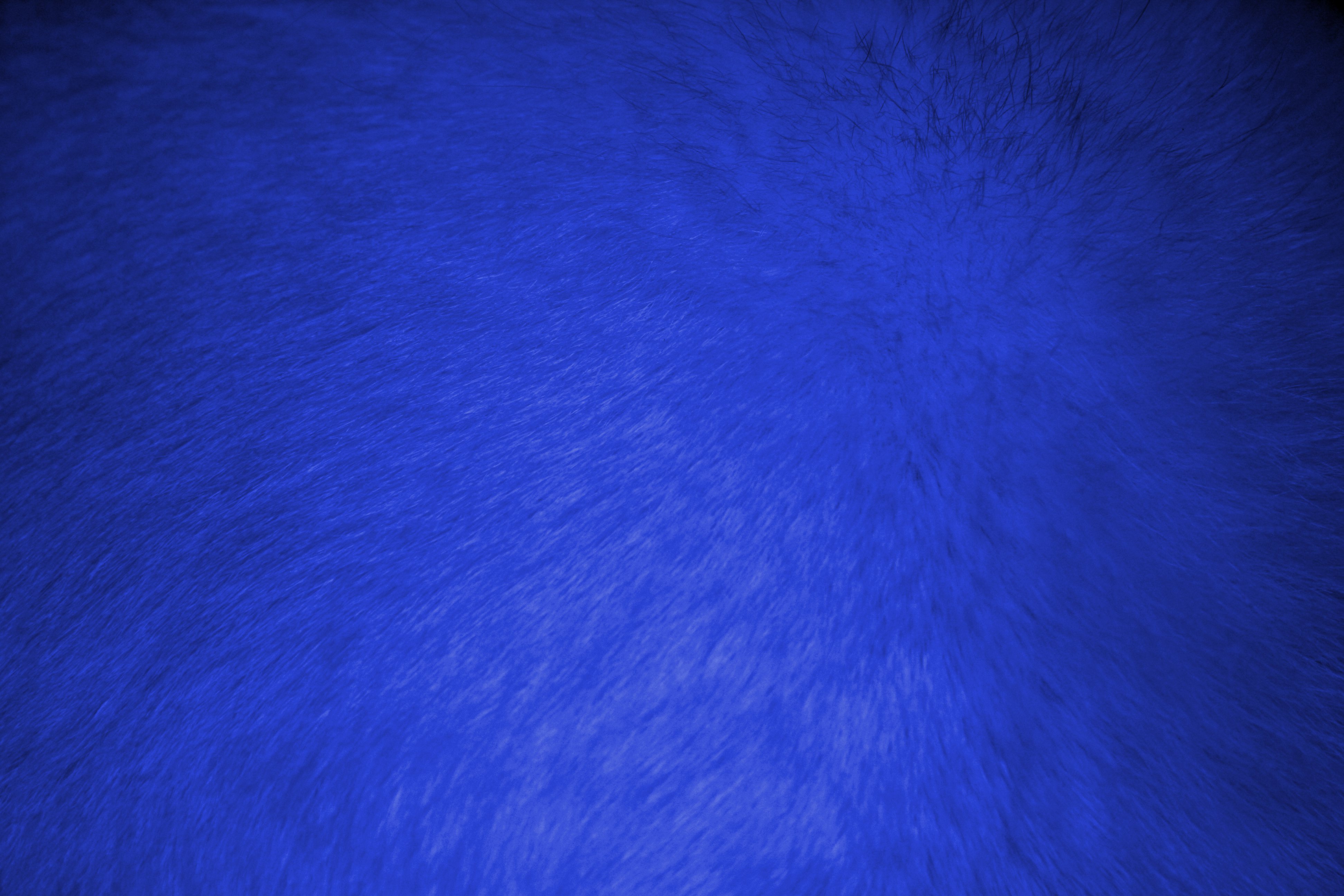 Blue Fur Texture Picture Free Photograph Photos Public Domain