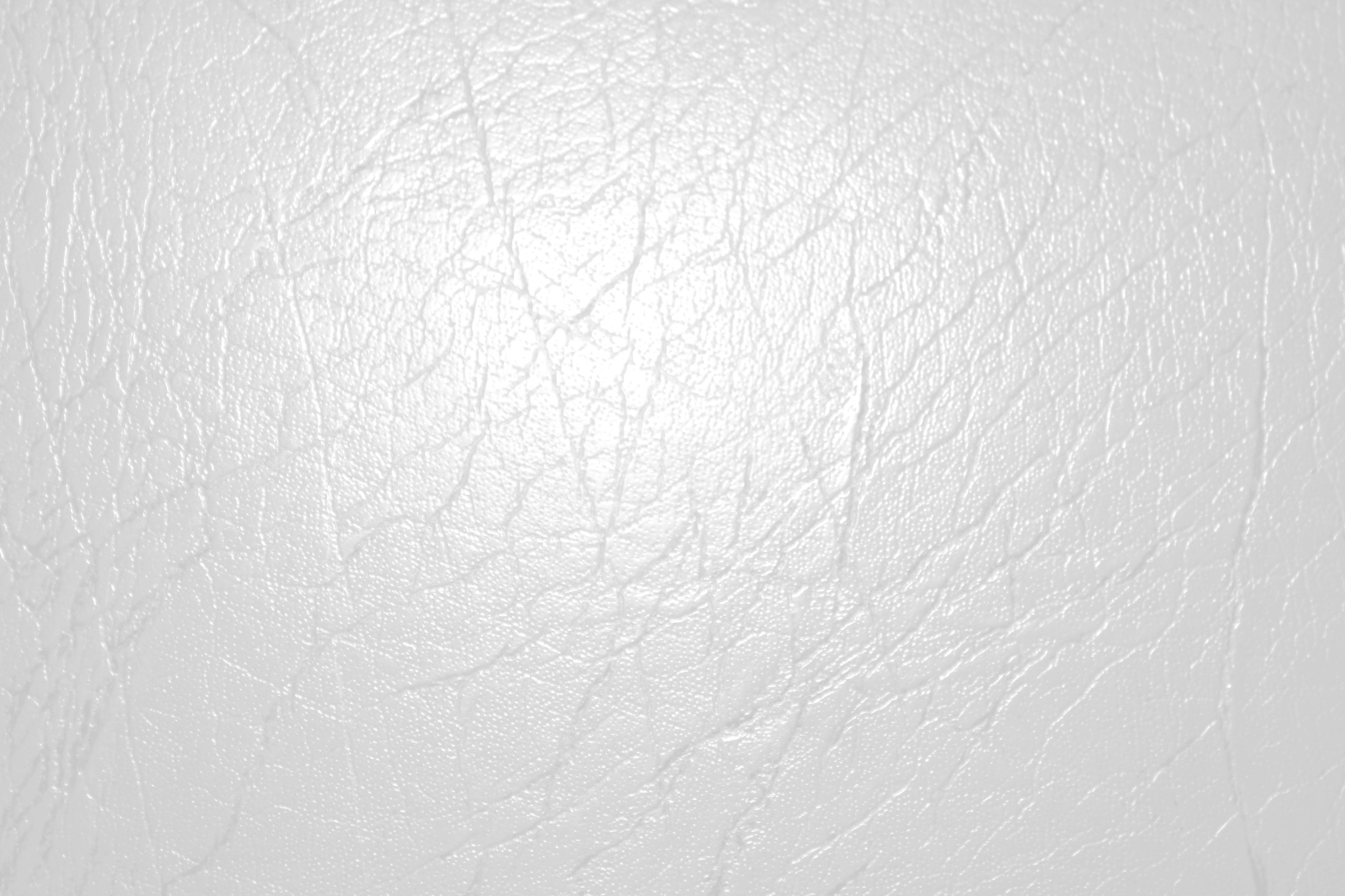 White leather (Texture)