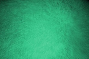 Green Fur Texture - Free High Resolution Photo