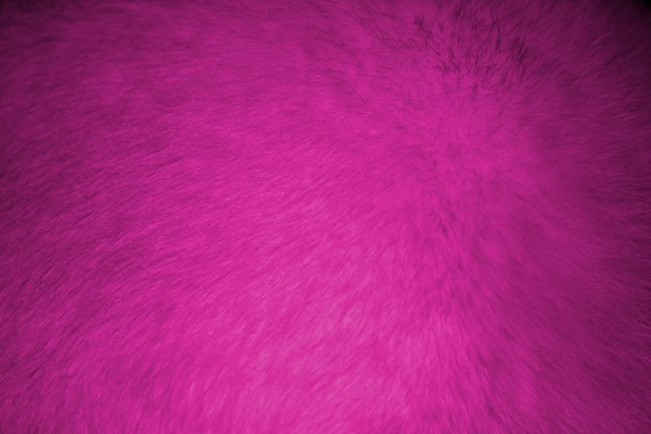 Hot Pink Fur Texture - Free High Resolution Photo