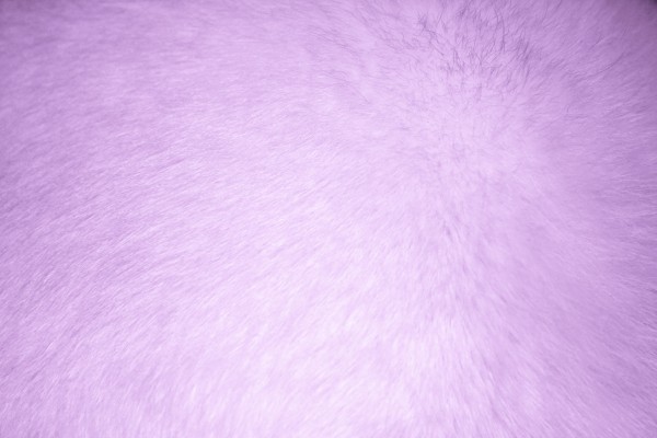 Lavender Fur Texture - Free High Resolution Photo