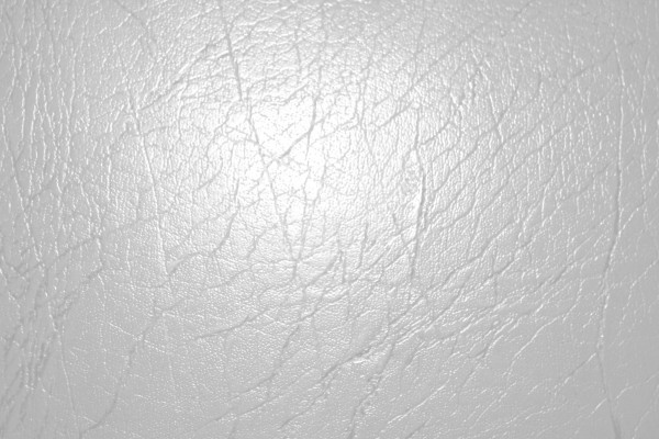 White Leather Texture - Free High Resolution Photo