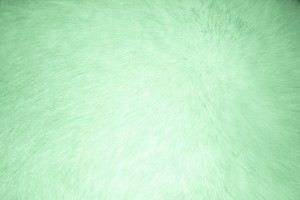 Light Green Fur Texture - Free High Resolution Photo