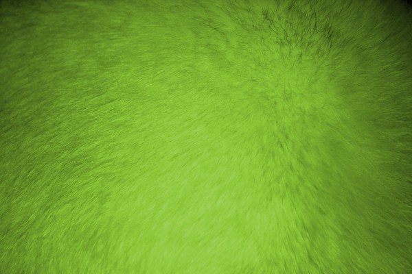 Lime Green Fur Texture - Free High Resolution Photo
