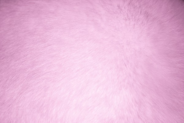 Pink Fur Texture - Free High Resolution Photo