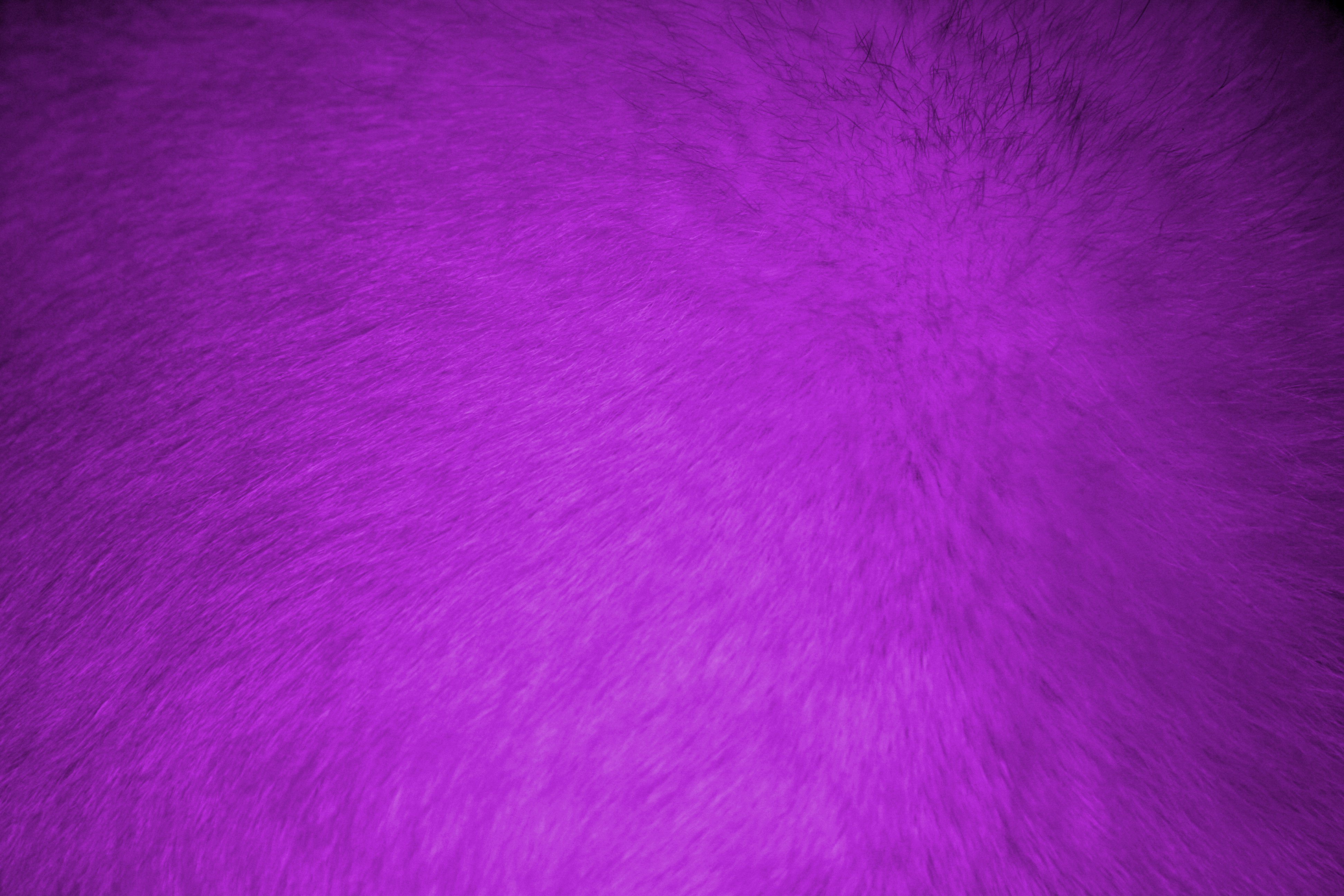 Texture Fur free textures, free download — Картинки и Рисунки