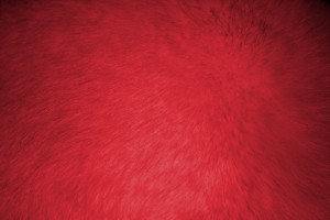 Red Fur Texture - Free High Resolution Photo