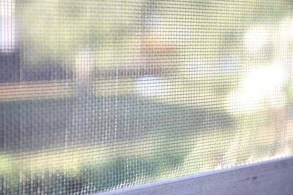 Window Screen - Free High Resolution Photo