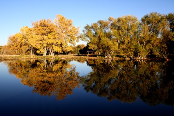 Autumn Trees Reflected in Lake - Free High Resolution Photo