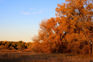 Beautiful Autumn Day - Free High Resolution Photo