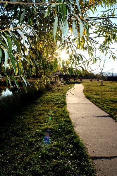 Bike Path at the Park - Free High Resolution Photo