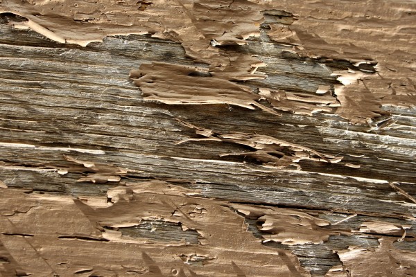 Peeling Brown Paint Texture - Free High Resolution Photo