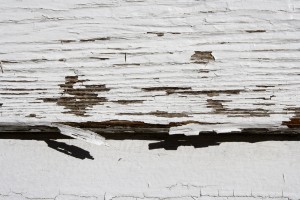 Peeling White Paint Texture - Free High Resolution Photo