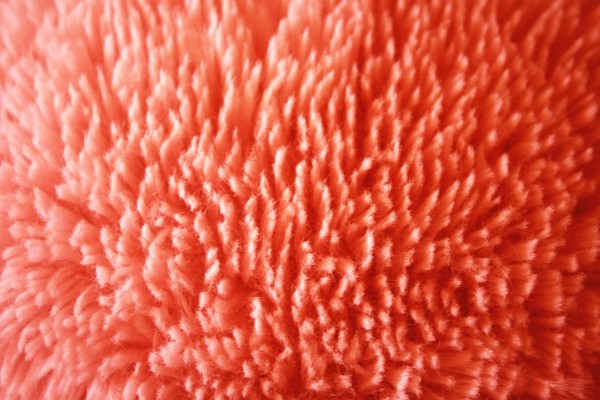 Plush Red Fabric Texture - Free High Resolution Photo