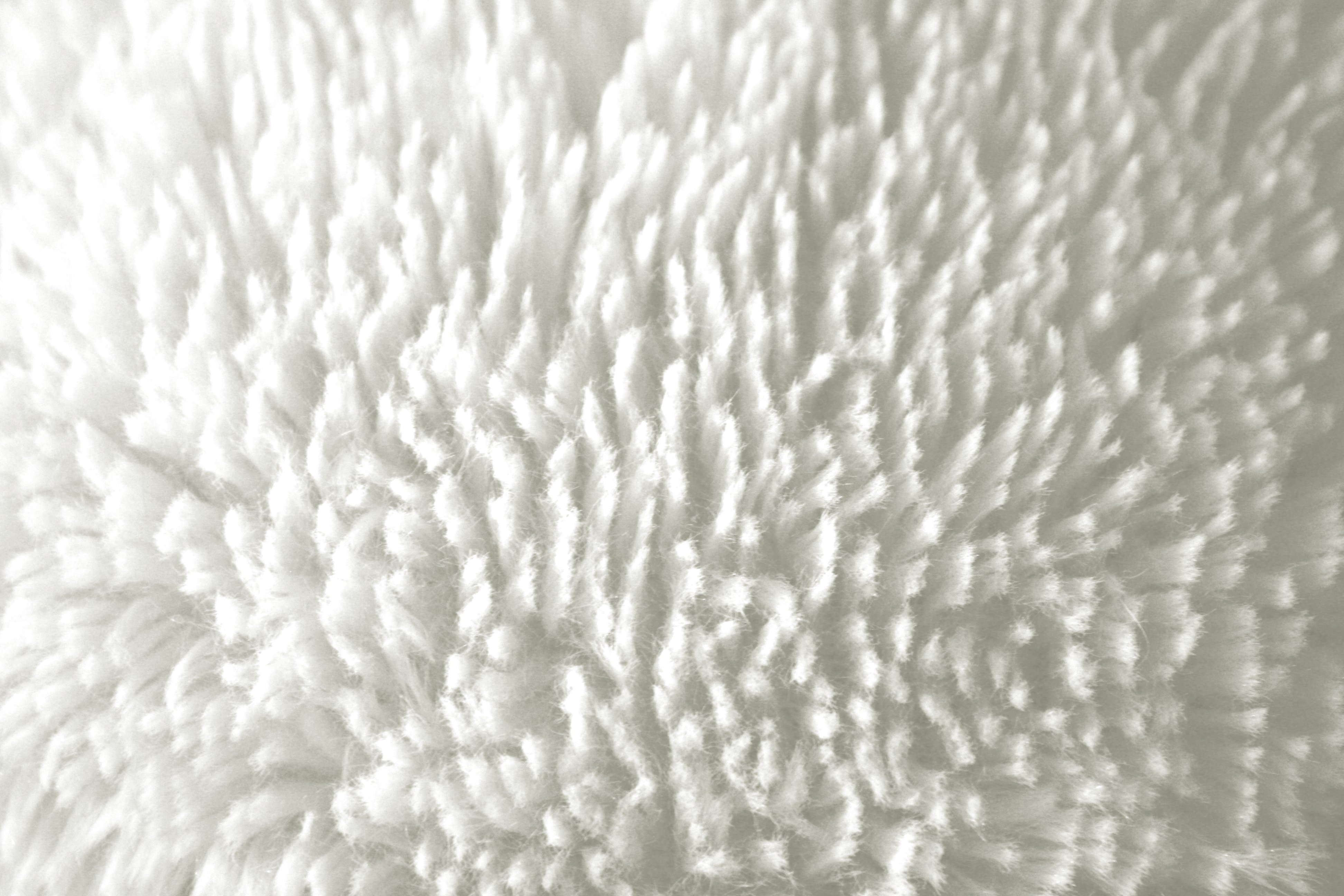 Plush White Fabric Texture Picture, Free Photograph