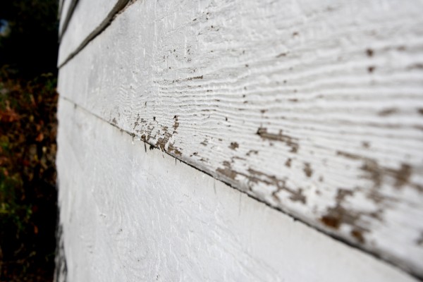 Siding With Peeling Paint - Free high resolution photo
