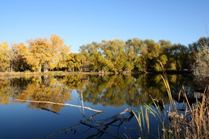 Autumn at the Lake - Free High Resolution Photo