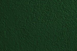 Forest Green Painted Wall Texture - Free High Resolution Photo