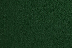 Forest Green Painted Wall Texture - Free High Resolution Photo