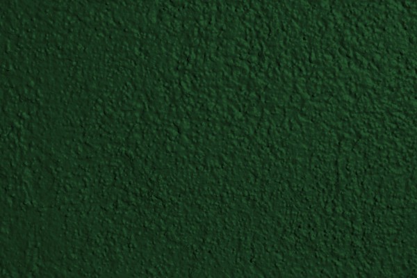 Forest Green Painted Wall Texture - Free High Resolution Photo
