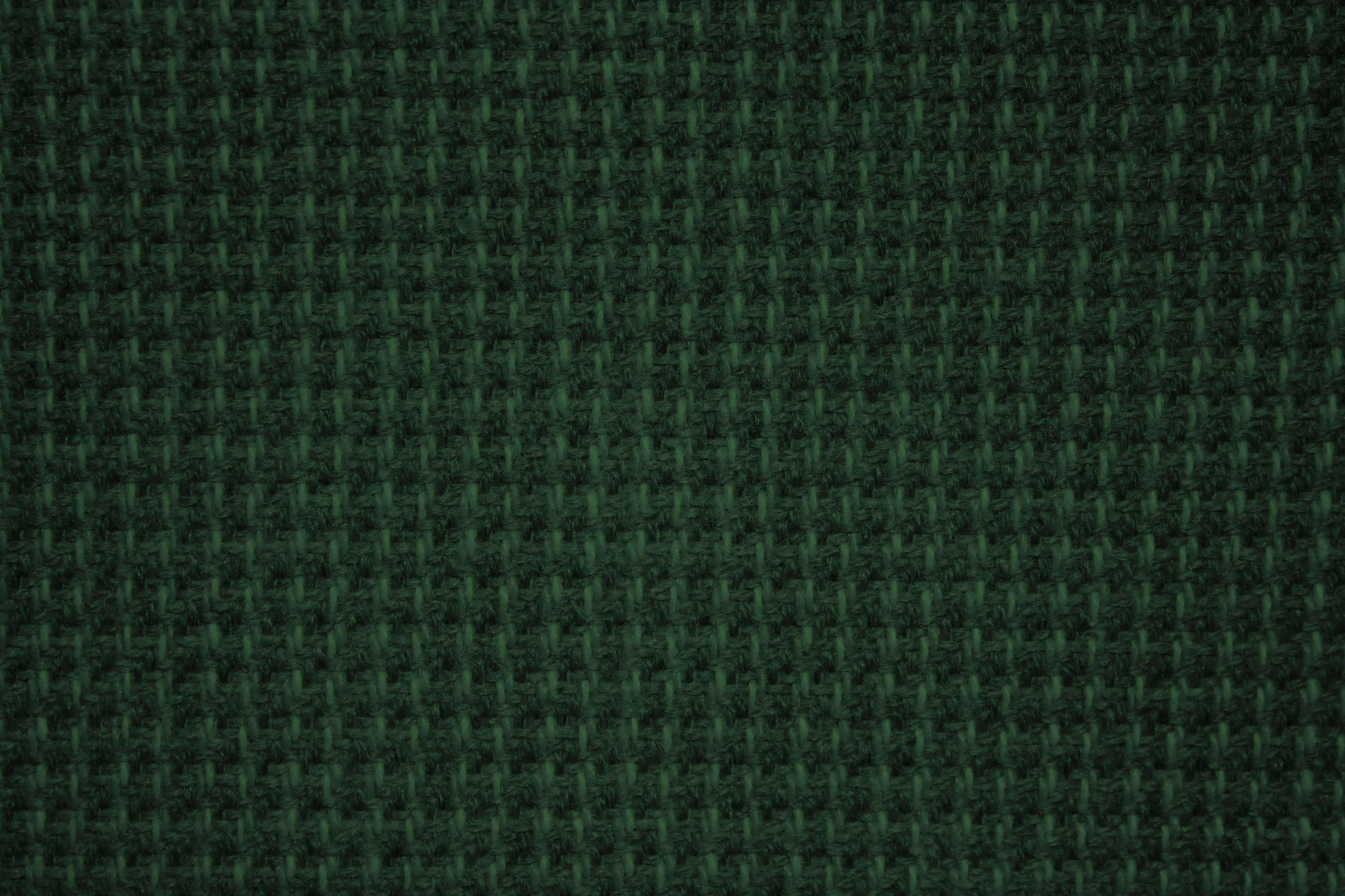 Dark Green Fabric Texture