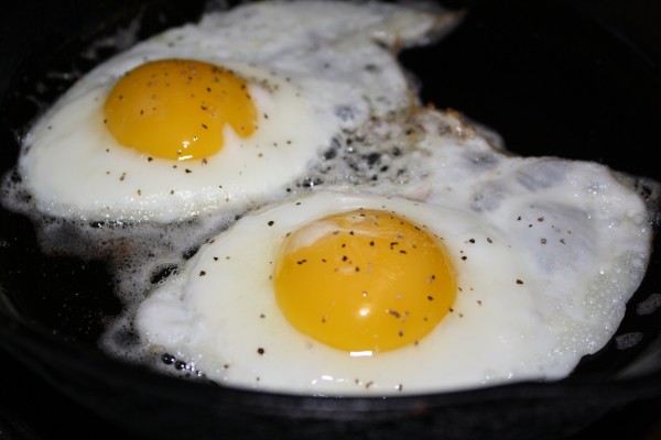 Fried Eggs - Free High Resolution Photo