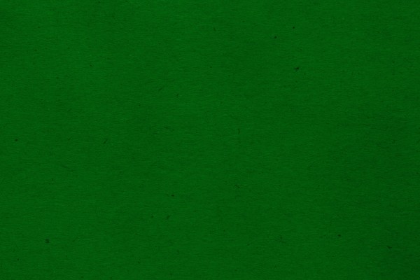Kelly Green Paper Texture with Flecks - Free High Resolution Photo