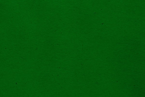 Kelly Green Paper Texture with Flecks - Free High Resolution Photo