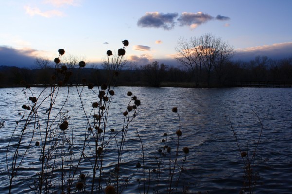 Lake at Dusk in November - Free High Resolution Photo