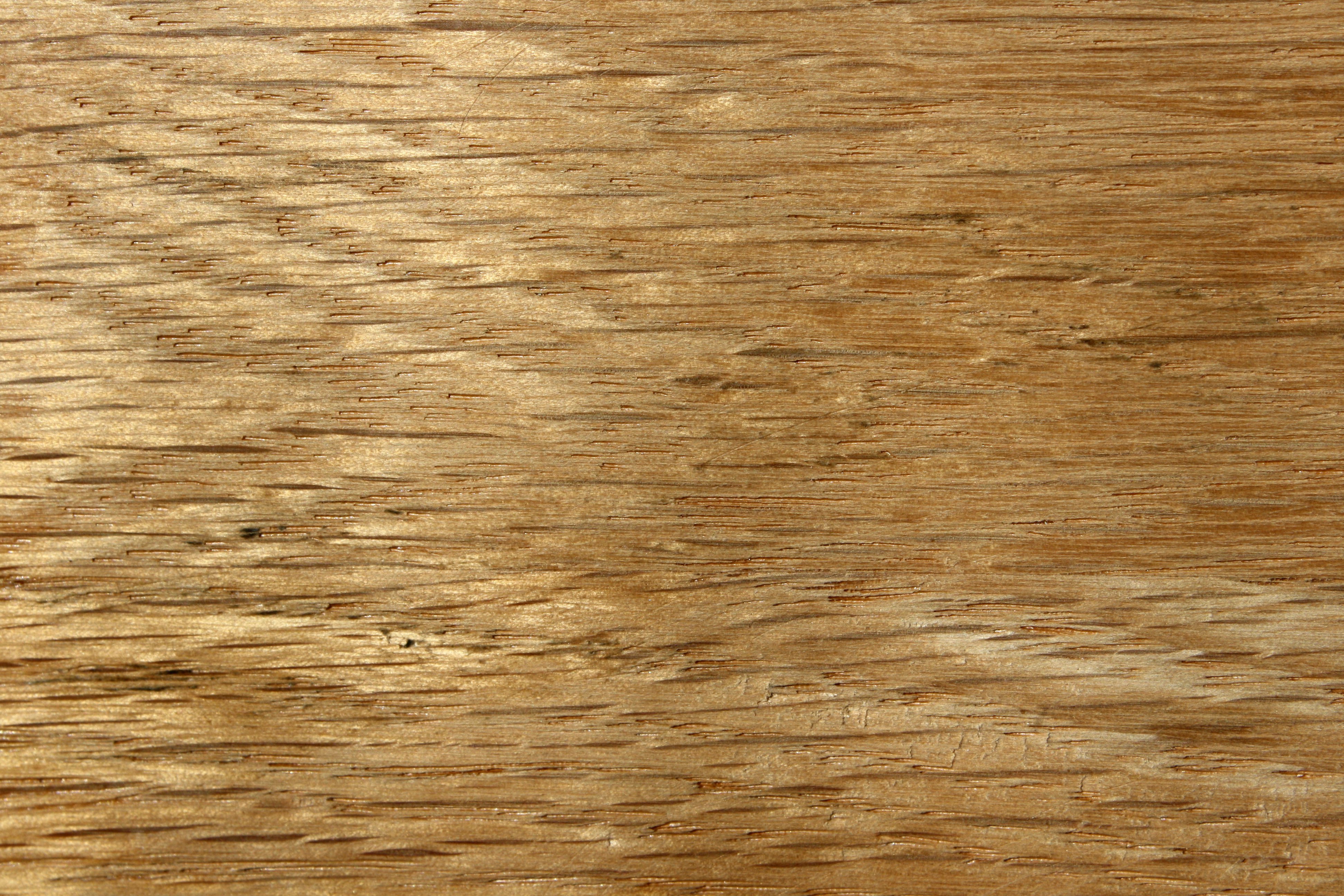 Oak Wood Grain Texture