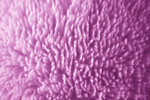 Plush Lavender Fabric Texture - Free High Resolution Photo