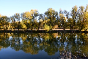 Sun on Autumn Trees Reflected in Water - Free High Resolution Photo