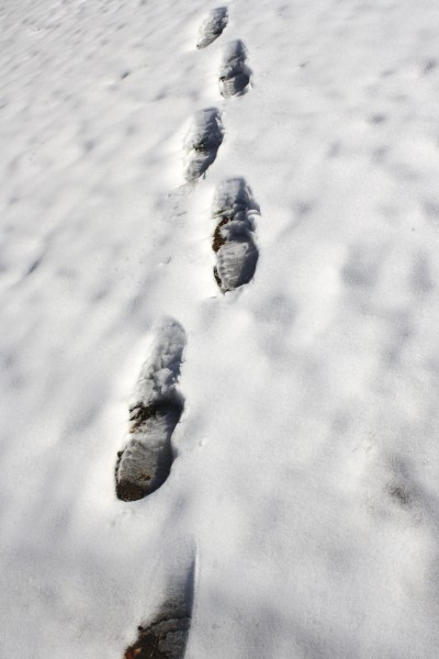 Trail of Footprints in Snow - Free High Resolution Photo