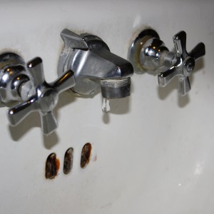 Dripping Faucet - Free High Resolution Photo
