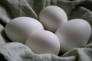 Four White Eggs - Free High Resolution Photo