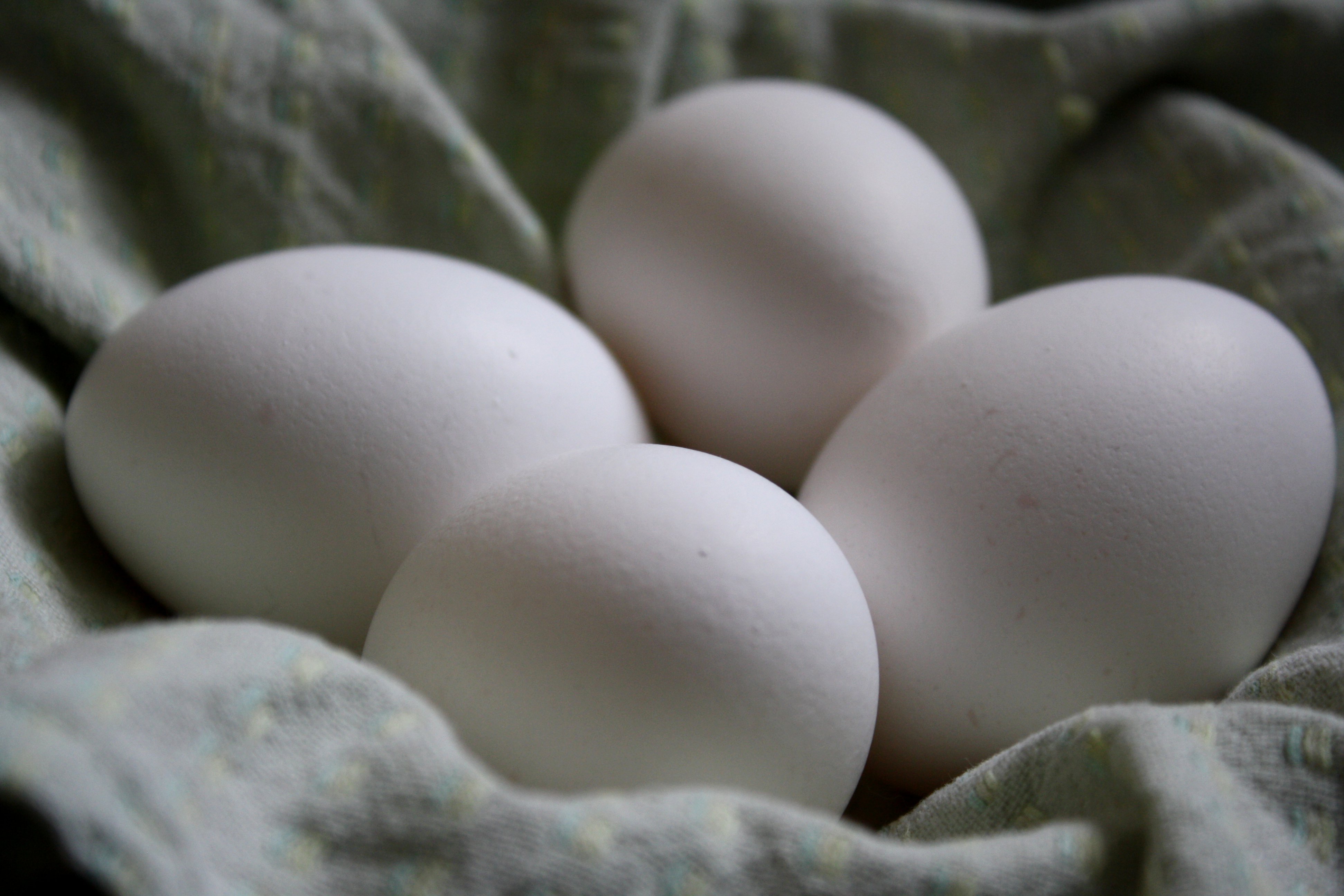 Four White Eggs Photos Public Domain