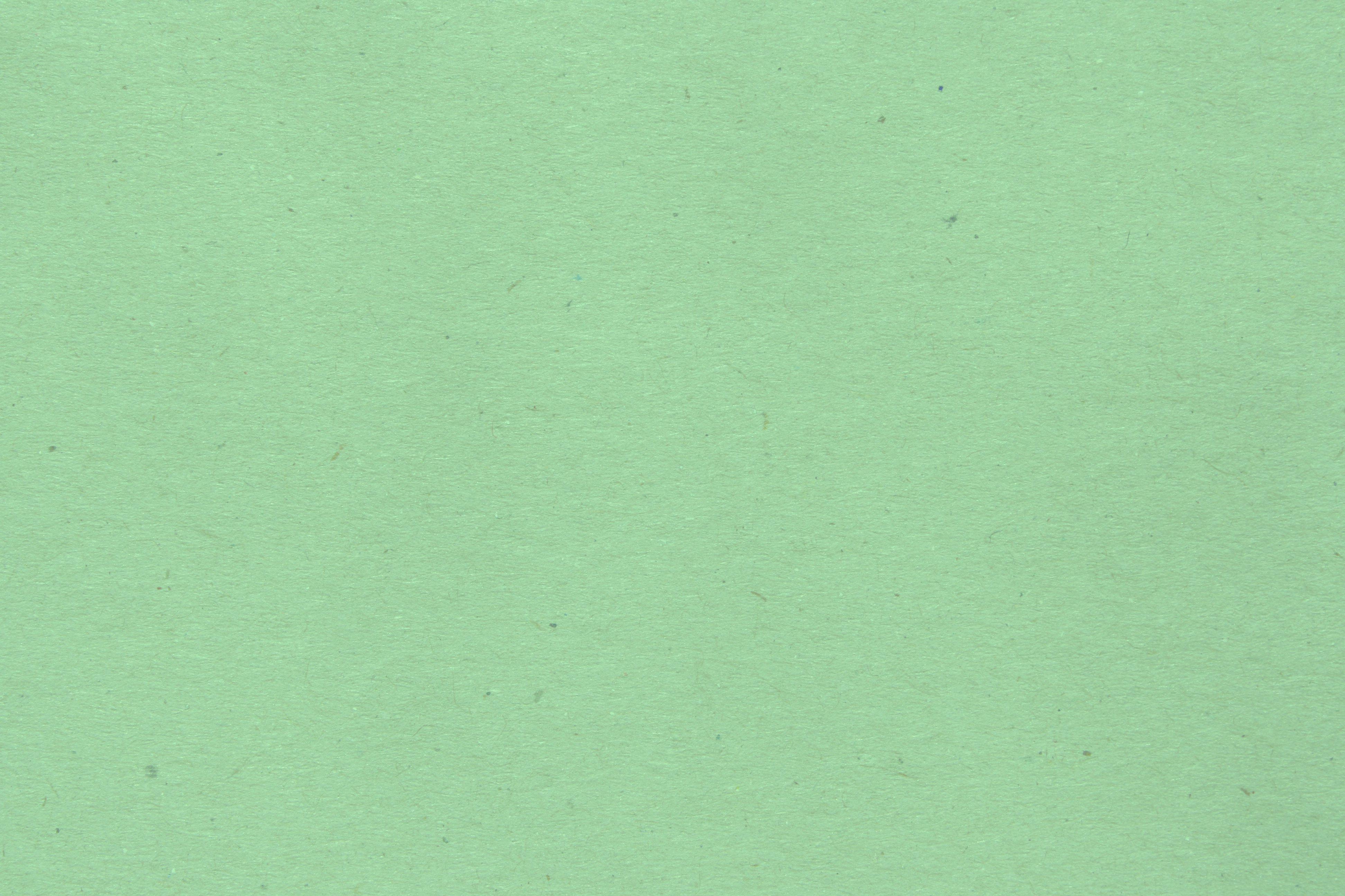  Mint Green  Paper Texture Picture Free Photograph 
