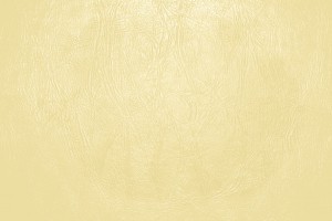 Butterscotch Yellow Leather Close Up Texture - Free High Resolution Photo