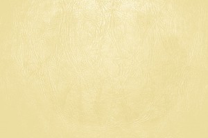 Butterscotch Yellow Leather Close Up Texture - Free High Resolution Photo