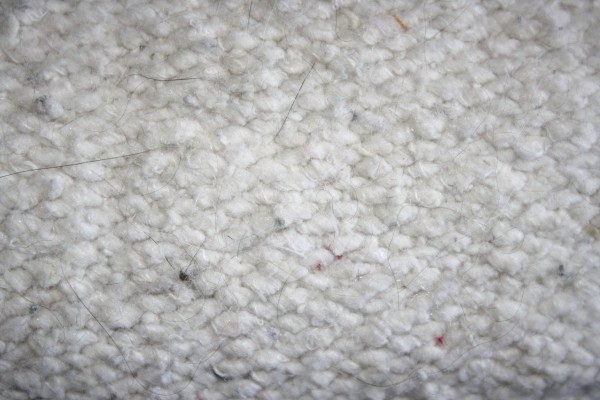 Cat Fur on White Blanket Close Up - Free High Resolution Photo